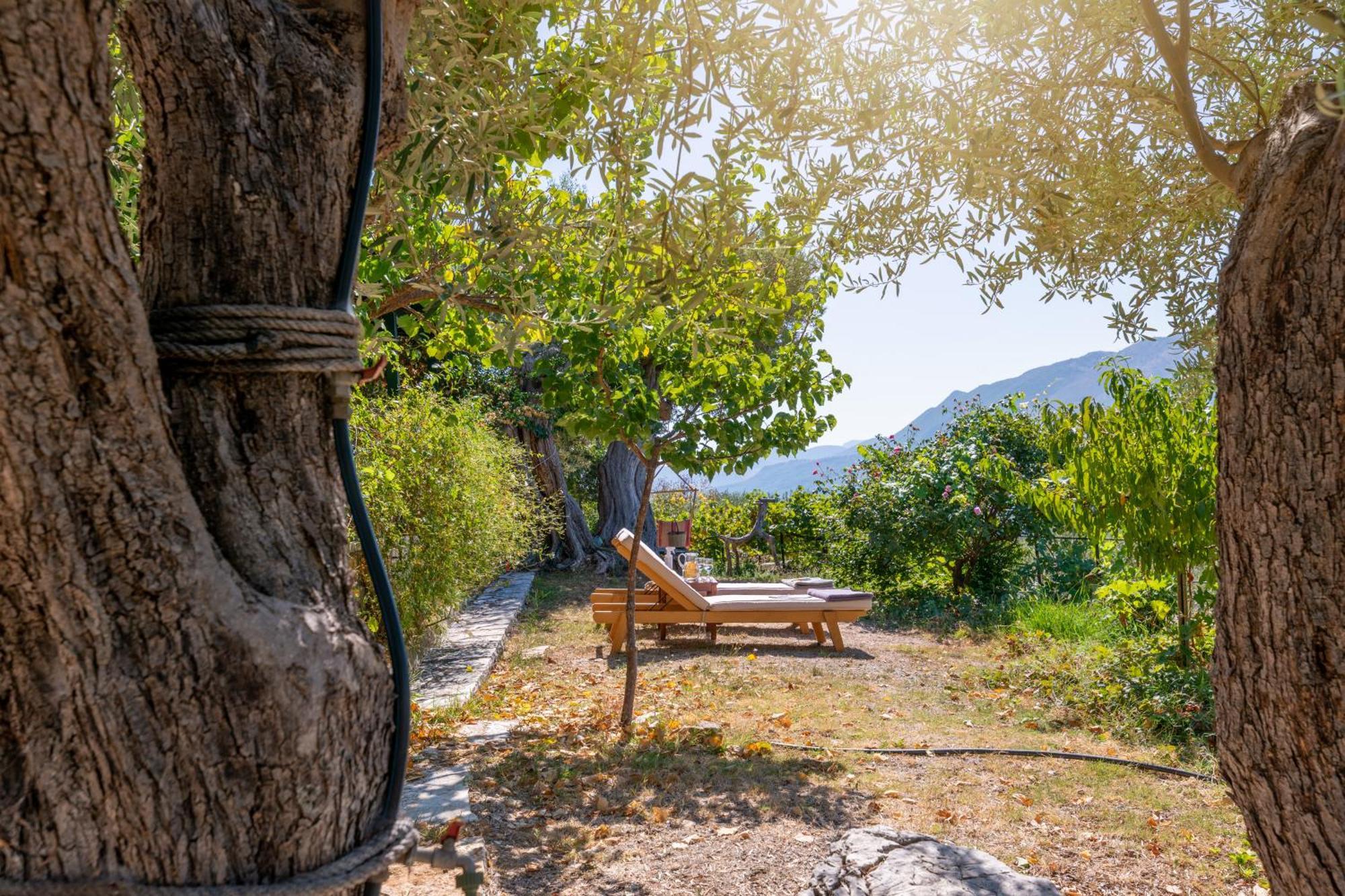 Liodentro - Olea Villa Plataria Exterior foto