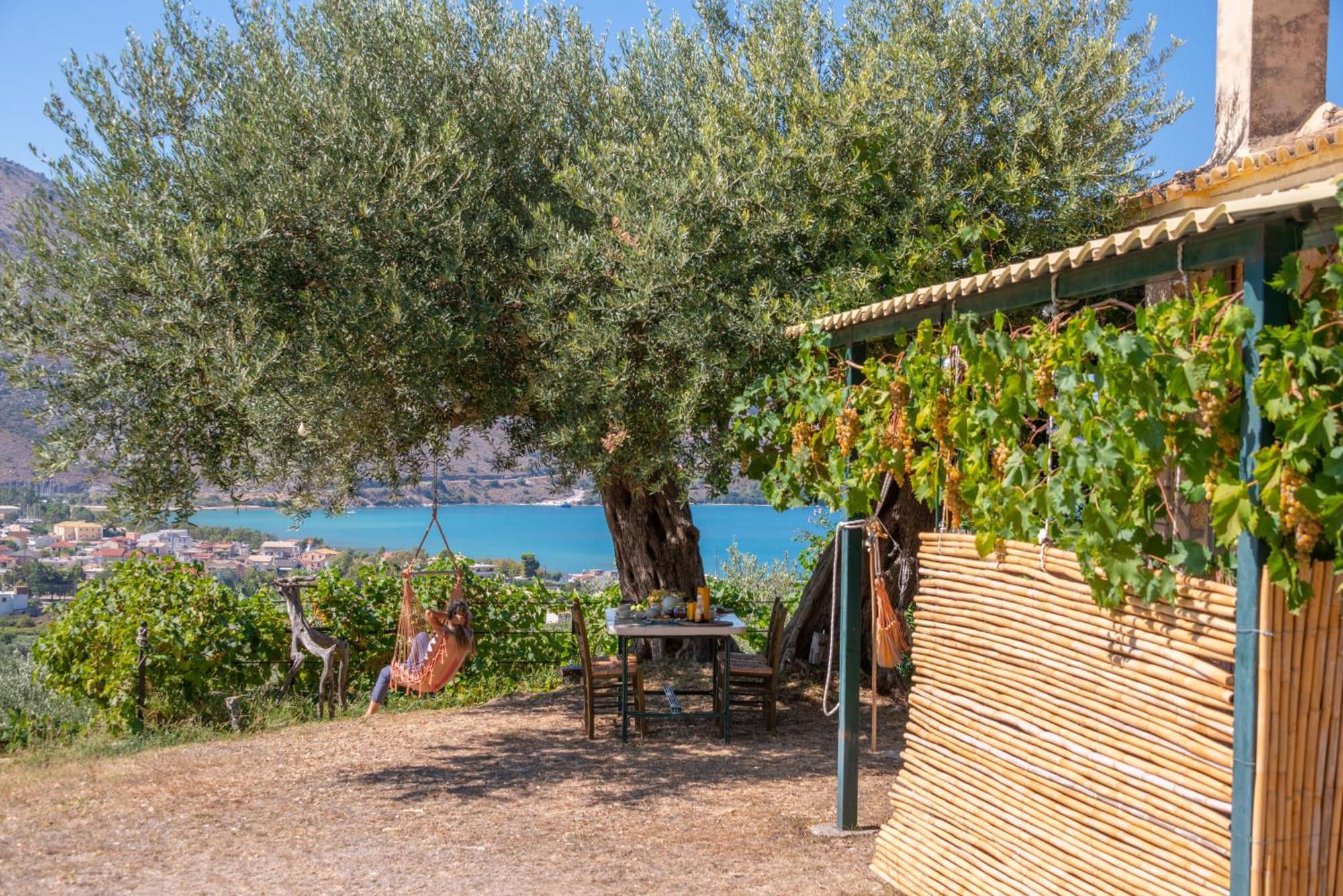 Liodentro - Olea Villa Plataria Exterior foto