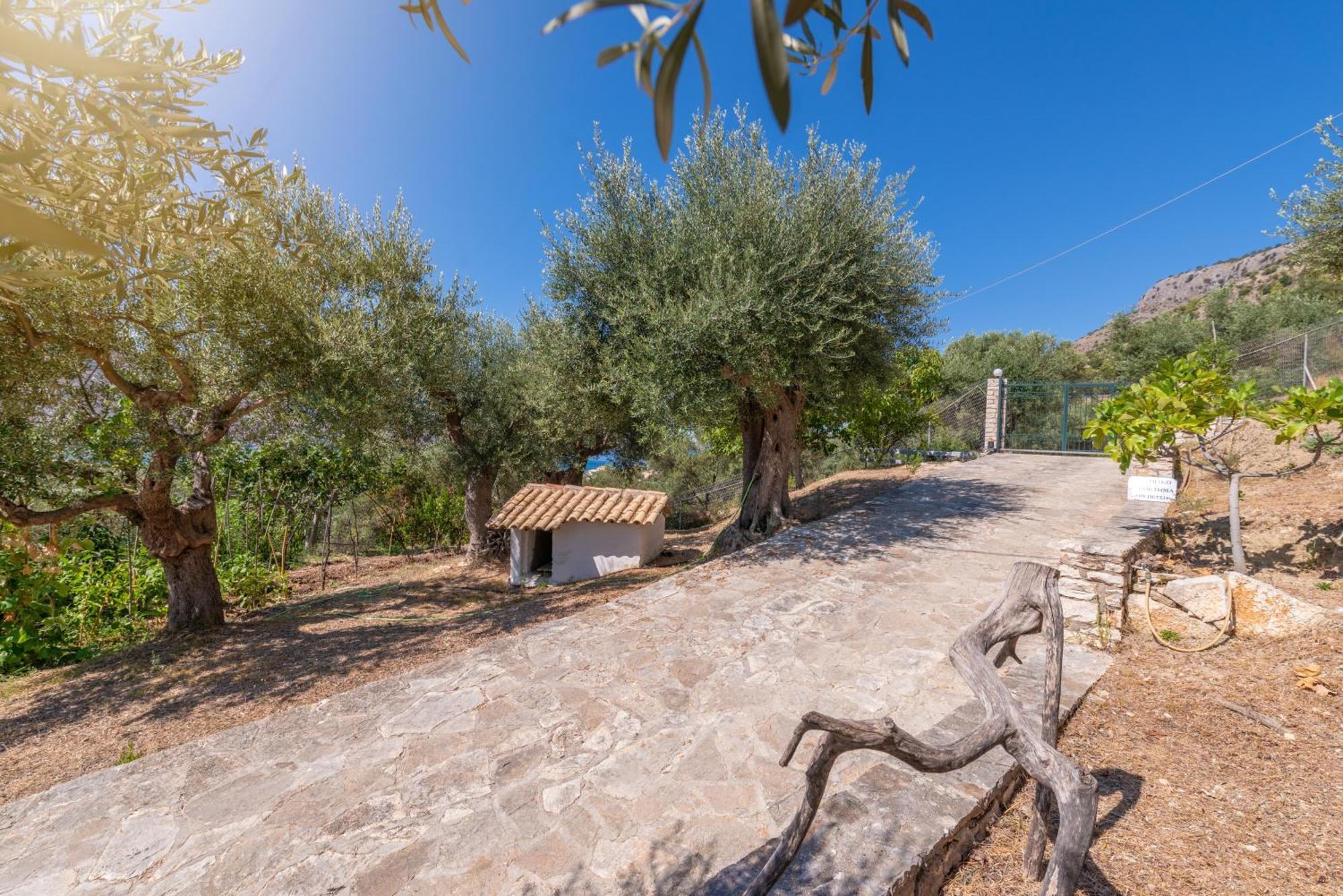 Liodentro - Olea Villa Plataria Exterior foto
