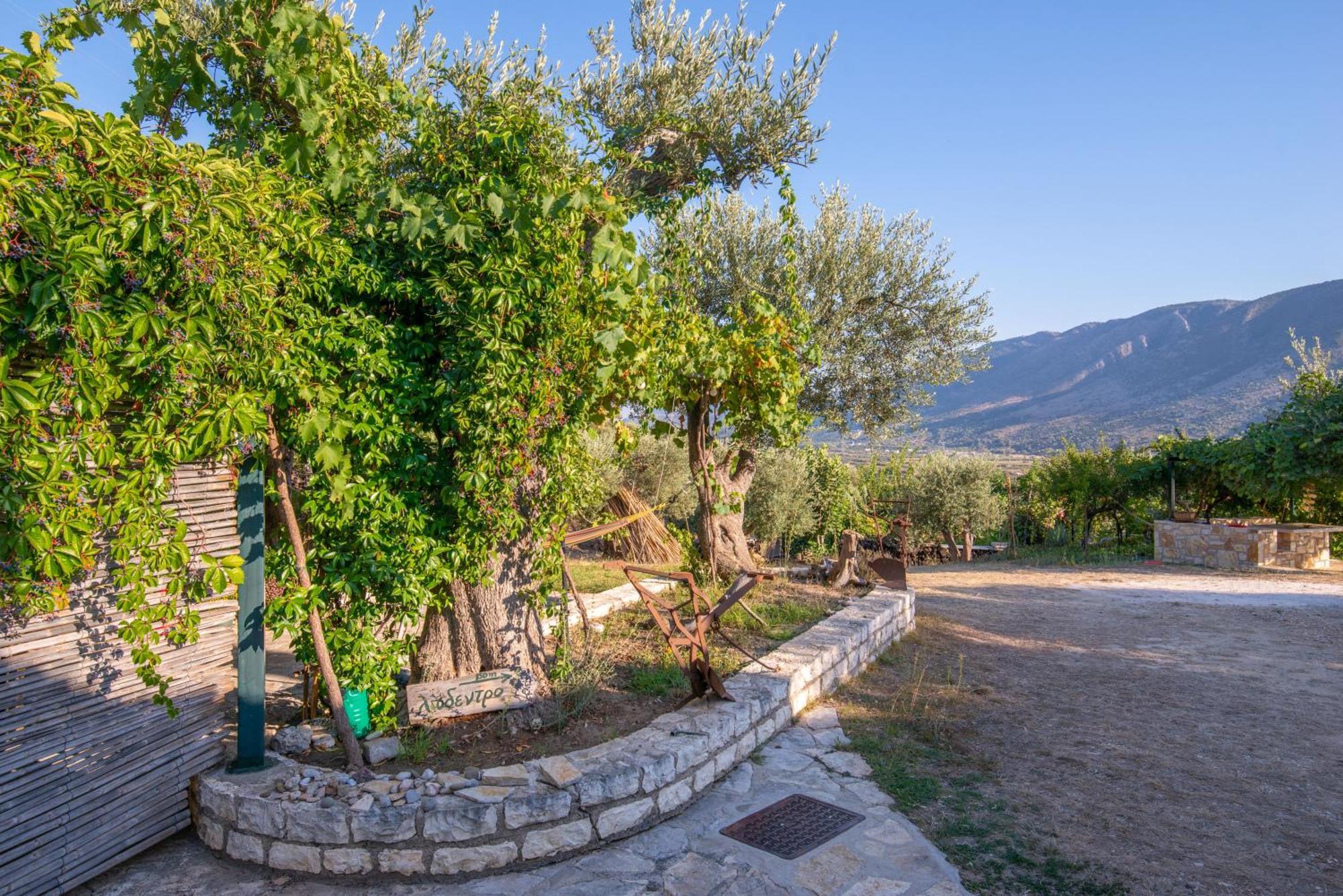 Liodentro - Olea Villa Plataria Exterior foto