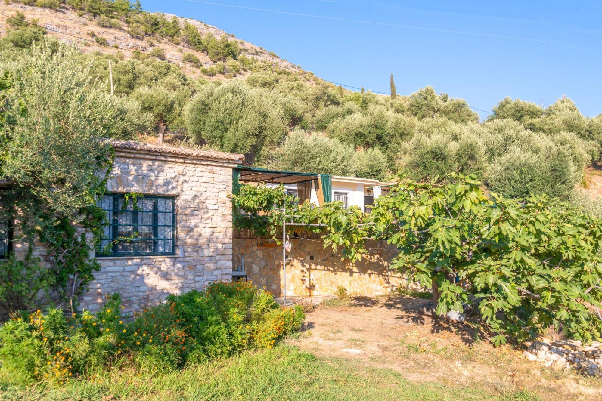 Liodentro - Olea Villa Plataria Exterior foto